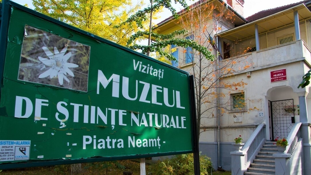 Muzeul de Ştiinţe Naturale din Piatra-Neamț