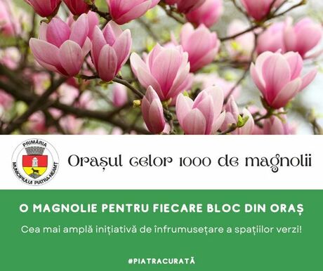 Piatra-Neamț, orașul celor 1000 de magnolii