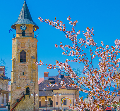 Ștefan's Great Tower